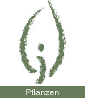 Kneipp - Kräuter / Pflanzen